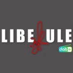 logo Libellule FM